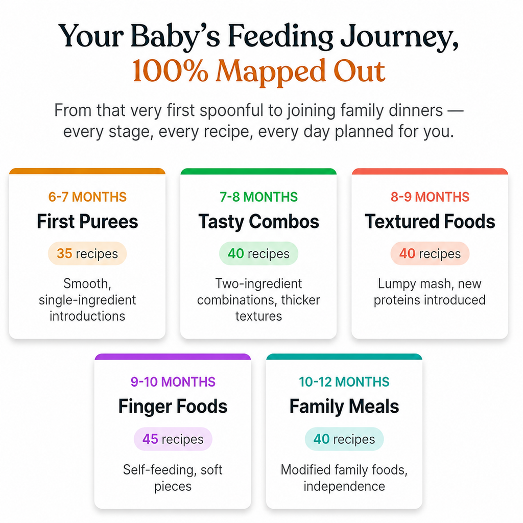 Healthy Bites | 200 Nutritious Recipes + Daily Meal Plan for 6-12 Month Baby