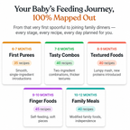 Healthy Bites | 200 Nutritious Recipes + Daily Meal Plan for 6-12 Month Baby